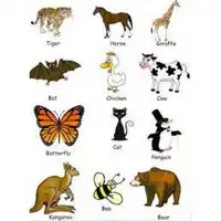 animales en ingles-nombres-lista-vocabulario-actividades-granja-pronunciación-fichas