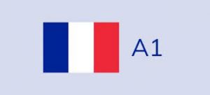 francés básico-Nivel A1