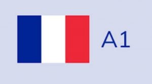 Edutin Academy curso de francés básico A1
