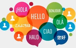 bonos cursos de francia-italiano idioma