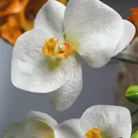 Modulo 6 flores de azucar-buttercream-betún-ingredientes