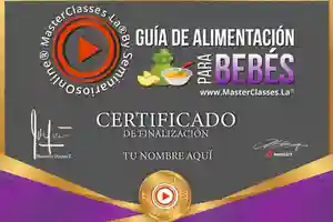 Certificado Guiá de alimentación pra bebés-Masterclass-Profesional-dieta