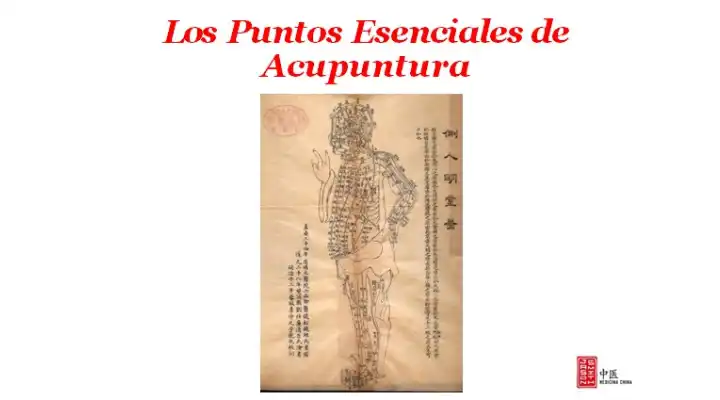 curso puntos esenciales de acupuntura-ilustración anatómica-meridianos-moxibustión-Libro de Acupuntura PDF Gratis