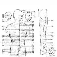 mano-espalda-oreja-cuerpo-rodilla-brazo-cara-intestino grueso