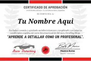 Auto Detailing certificado-car datiling-lavado-pintura automotriz-pulido