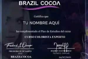 colorista experto-colorimetría del cabello-hotmart-certificado-colorimetría pdf-academia-aprendizaje