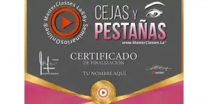 curso de cejas y pestañas maria camila correa-certificado-hotmart-unas cejas-cejas perfectas-emprender