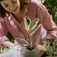 beneficios de la jardinería-cursos de jardinería-paisajismo-cursos online-jardín botánico
