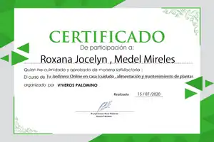 certificado-hotmart-Jardinero en casa-mantenimiento-áreas verdes-masterclass-ricardo rivas