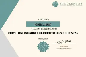 certificado-hotmart-curso online-alexandra sisco