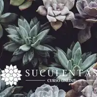curso El Arte de Cultivar Suculentas de Alexandra Sisco-sembrar cactus-cómo plantar-frascos-jardín-trasplantar suculentas-plantar suculentas