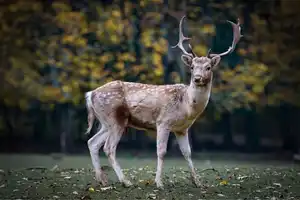 curso Iniciación a la Fotografía-kike arnaiz-aprender fotografía de cero a 100-camara réflex-cámara-fotógrafo profesional