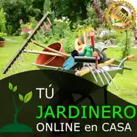 curso online-hotmart-masterclass-cursos gratuitos-abono orgánico-paraíso terrenal-plantaciones-mantenimiento