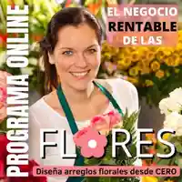 decorar-emprendimiento-hotmart-plantas-eventos-arreglos-curso online