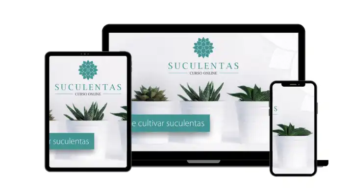 plantar suculentas-curso el arte de cultivar suculentas-macetas-cactáceas-suculentas pdf-facebook-plantas crasas