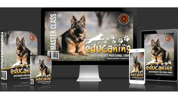 Educanino Adiestramiento Profesional Canino-álvaro osorio-enseñar-obediencia-curso online-hotmart