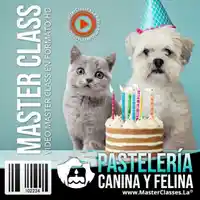 Pastelería canina y felina-saludables-gatos-perros-curso online-hotmart-diana fonseca
