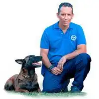 alvaro osorio educanino-hotmart-curso online-mascota-pastor alemán-cachorro-entrenamiento a mi perro