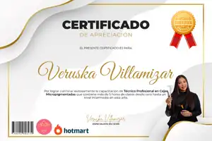 certificado-master class-masterclass-Cejas Micropigmentadas-maquillaje permanente-microblading cejas perfectas
