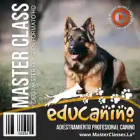 youtube-lenguaje corporal-obediencia-pastor alemán-educanino álvaro