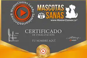 certificado-curso online-masterclass-master class-hotmart-nutrición-dieta balanceada