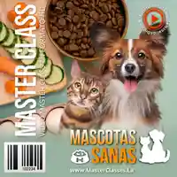 mascotas sanas-hotmart-diana fonseca-seminarios online-dieta balanceada-entrenamiento-mala alimentación-mascotas fit-curso online