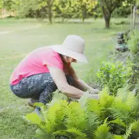 jardinero-huerto-coseñar-plantar semillas-regar árboles-agricultor-planta verde-siembra