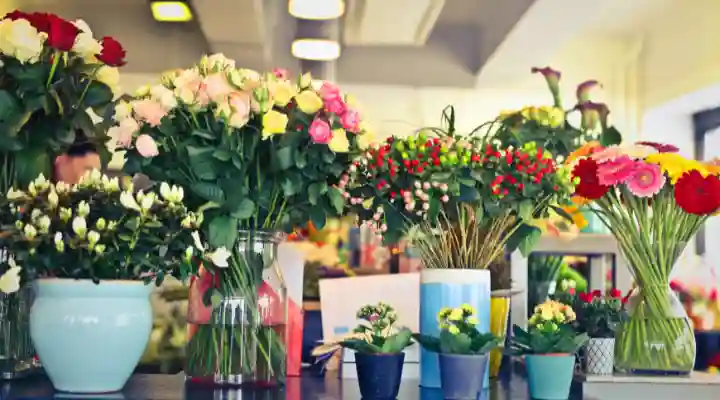 tienda de floristería-decoración-artificiales-floristería-florales-planta-locales-línea-marca-mayoreo-negocio-flower shop-mejores floristerías-rosas preservadas