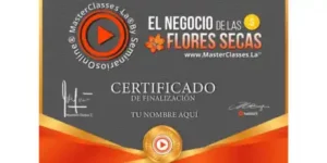 certificado-el negocio de las flores secas-hotmart-ann ballesteros-plantas secas-mostrador-hojas secas-plantas ornamentales