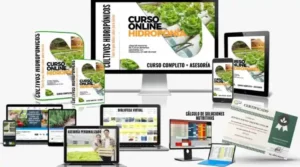 curso completo de hidroponia-hotmart-cultivo hidropónico-sistemas hidropónico-lechuga hidropónica-huerto hidropónico