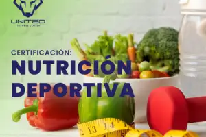 alto rendimiento-evaluación nutricional-actividad física-suplementación-cursos gratuitos