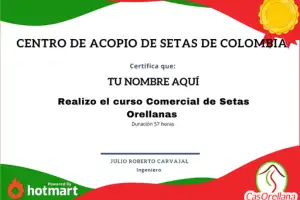 certificado-curso online-hotmart-certificado online-descargar-julio Carvajal-gratis
