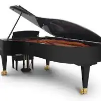 cola-interior-steinway-blanco-yamaha-vertical