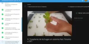 contenido-hidroponía industrial-lechuga hidropónica-solución nutritiva-huertos urbanos-curso online-raíz flotante-jardín hidropónico