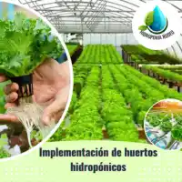 opiniones finales-curso huertos hidropónicos-gerardo llanos-hotmart-cursos online-sistema hidropónicos-hidropónico casero-hidroponía-raíz flotante-solución nutritiva