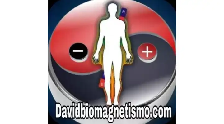 Aprende Biomagnetismo-Fácil y Rápido-david aguirre cedeño-curso de biomagnetismo online-hotmart-terapia con imanes-magnetoterapia