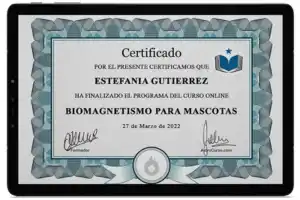 certificado-biomagnetismo para mascotas-biomagnetismo médico-biomagnetismo animal-biomagnetismo canino-sistema inmunológico