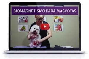 opiniones-comentarios-certificación en biomagnetismo para mascotas-vale la pena-funciona-ventajas-desventajas-hotmart-curso biomagnetismo