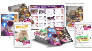 100 recetas felinas-guía digital-descargar-hotmart-recetario-recetas saludables