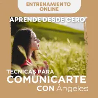 opiniones finales-curso terapeuta angelical-online-vale la pena-funciona-cursos-ángeles-arcángeles-certificado terapeuta angelical