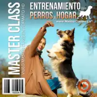 opiniones-master class-entrenamiento para perros del hogar-Sthiwar Guzmán-vale la pena-funciona-adiestramiento canino
