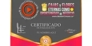 certificado-Cajas y Flores Eternas como Oportunidad de Negocio-Natali Callejas-curso virtual-floristería-manualidades-tiktok-hotmart-seminarios online
