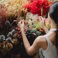 plantas tropicales-decoración-jarrón-decorar-canastas-mercado-nombres para