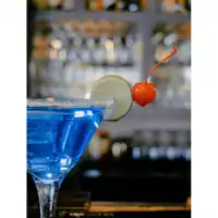 nuevas tendencias-licores-bebidas alcohólicas-bebidas preparadas-barman