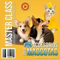 curso accesorios para mascotas precio-qué incluye el curso accesorios para mascotas-curso accesorios para mascotas vale la pena-seminarios online accesorios para mascotas opiniones